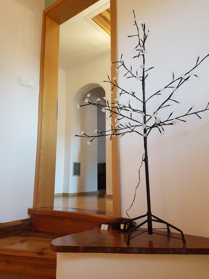 Apartma Katja Mojstrana Buitenkant foto